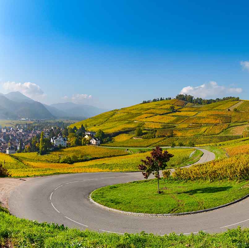 Vignoble d'Alsace au dessus de Colmar. Éditions La Californie, éditeur de livre en Alsace.