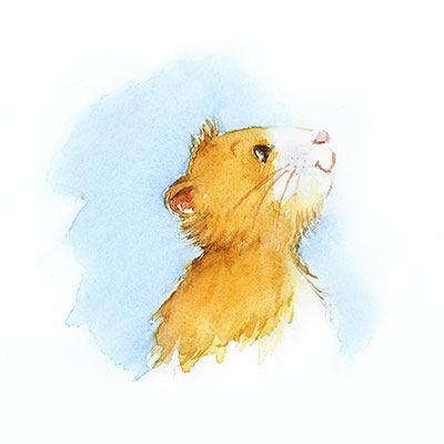 le hamster d'Amsterdam plébiscité par les lectures de Naurile